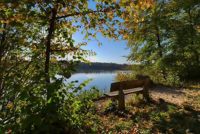 度和协调性 度和协调性