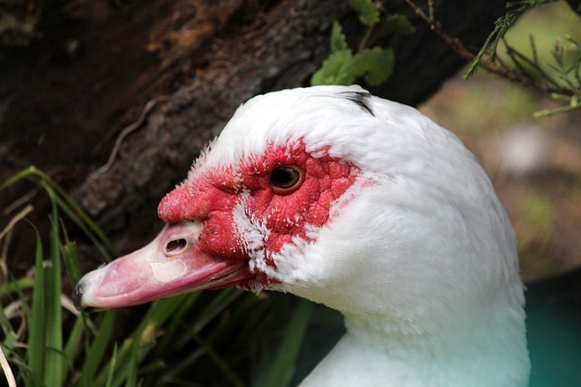 方面均有显 方面均有显