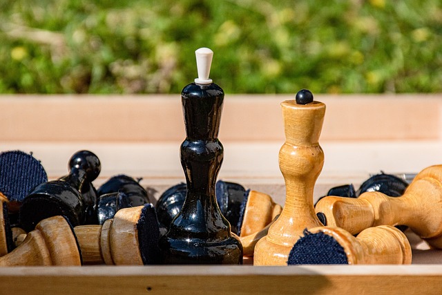 所带来的不 所带来的不