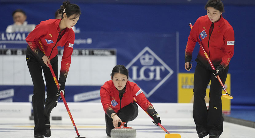 仅展示了球 仅展示了球