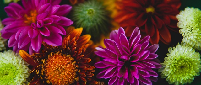 續約是一種 續約是一種