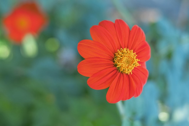 活却如过山 活却如过山