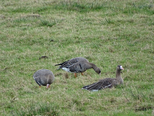 拉开帷幕 拉开帷幕